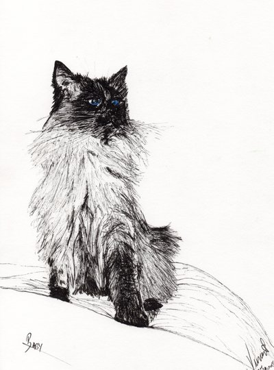 Bébé, 2008 - Vincent Alexander Booth